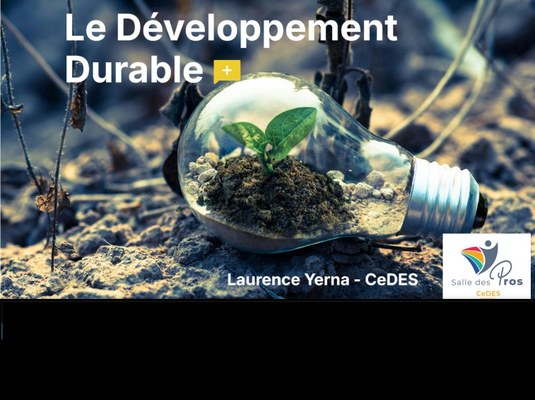 Parlons ACTU! Introduction au Développement Durable