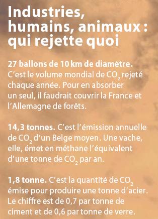 co2.JPG