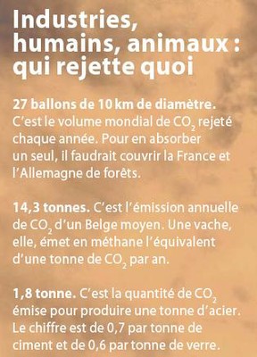co2.JPG